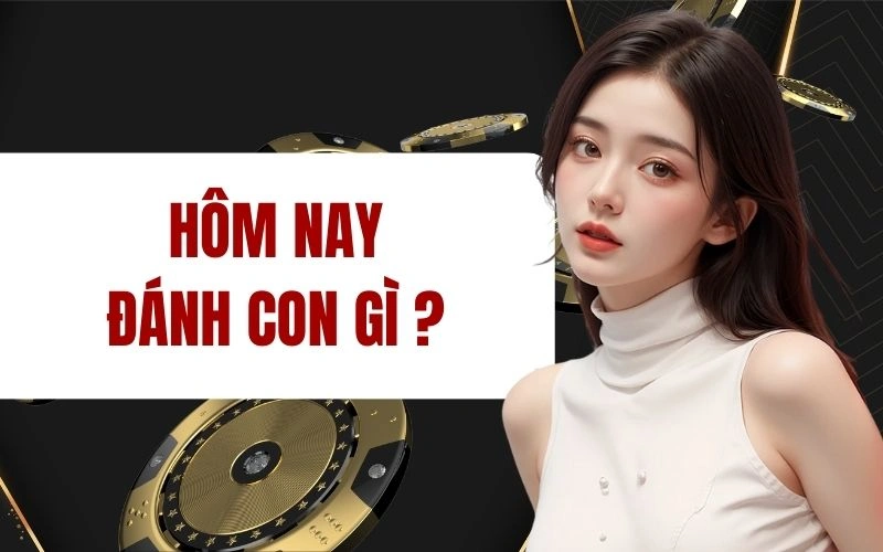 Lý giải ý nghĩa câu hỏi được đặt