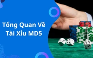 Tài Xỉu MD5