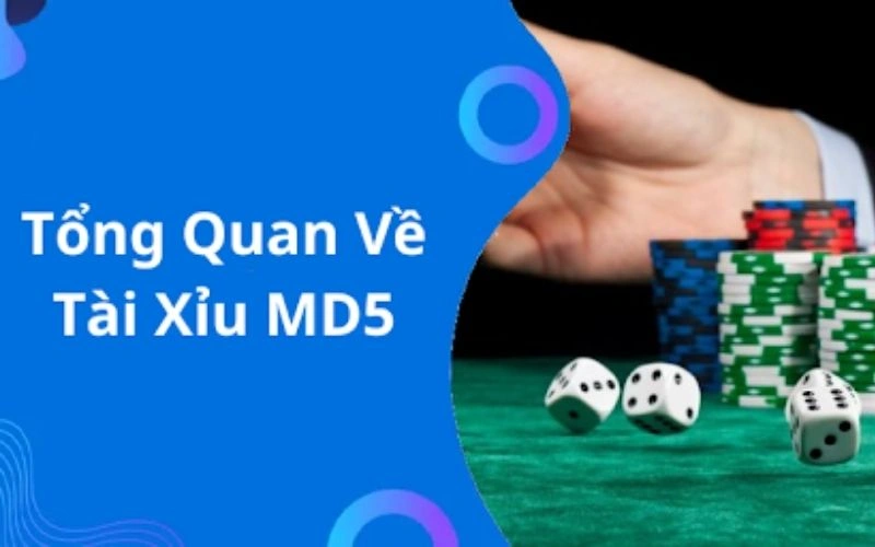 Tài Xỉu MD5